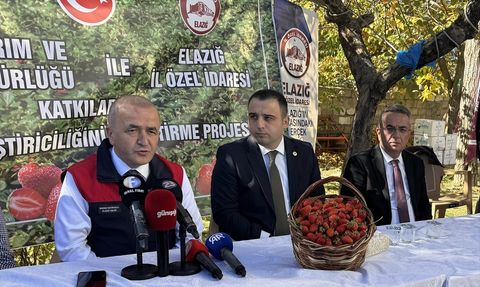 Elazığ'da Çilek Üretimi İçin 20 Bin Fide Dağıtıldı
