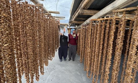 Elazığ'ın Tescilli Orcik Lezzeti İçin Hazırlıklar Başladı
