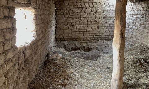 Eskişehir'de 14 Yıl Sonra Kayıp Kardeşin Cinayeti Ortaya Çıktı