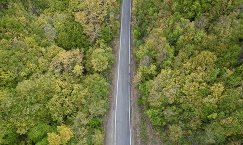 Ganos Dağı'nda Sonbahar Renk Cümbüşü