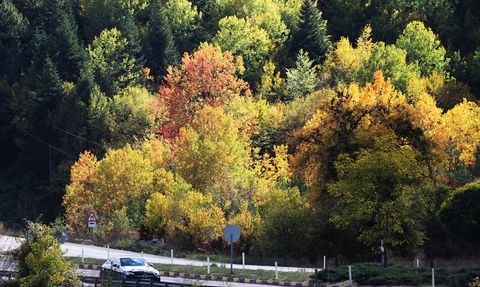Karabük'te Sonbahar Renklerinin Görsel Şöleni