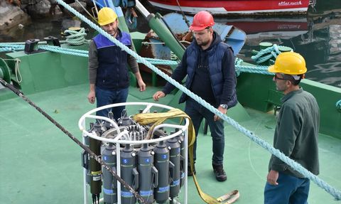 Karadeniz'de Balık Stok Araştırmaları Devam Ediyor