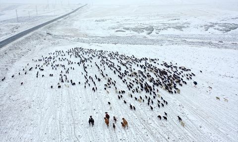 Kars'ta Karla Karşılaşan Göçerlerin Zorlu Dönüşü