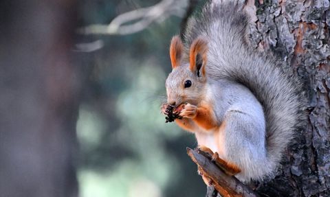 Keklik Vadisi'nde Sonbahar Güzellikleri