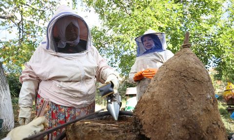 Kırklareli'de Geleneksel Bal Üretimi: Mürvet Gürses'in Hikayesi