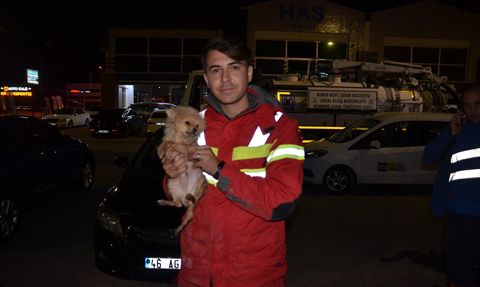 Konya'da İtfaiye Ekipleri Köpek Yavrusunu Kurtardı