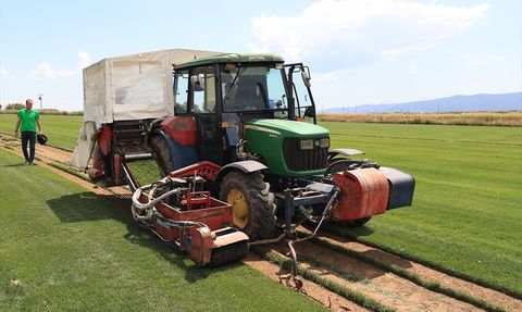 Küçük Bir Köyde Büyük Bir Başarı: Rulo Çim Üretimi
