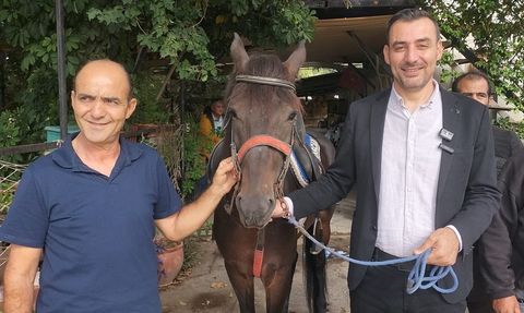 Manavgat-Side Geleneksel Rahvan At Yarışları 12 Ekim'de