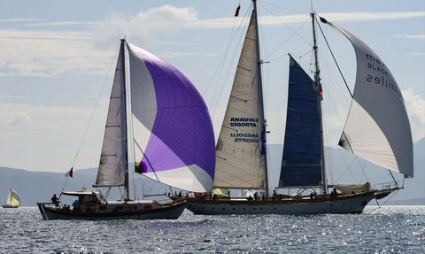 Maximiles Black The Bodrum Cup Yelken Yarışları Devam Ediyor