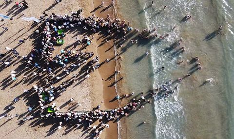 Muğla'da Deniz Kaplumbağalarının Doğaya Dönüşü