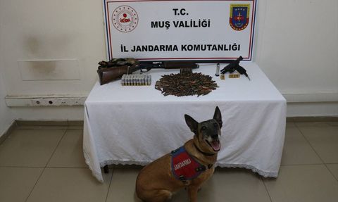 Muş'ta Tezek Altında Saklanan Silahlar Ele Geçirildi