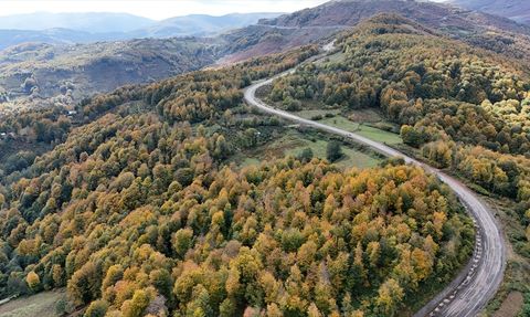 Ordu'nun Korgan Yaylası'nda Sonbahar Renkleri