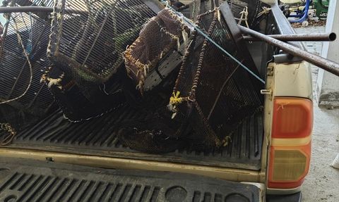 Samsun'da Kaçak Midye Avcılığına Darbe