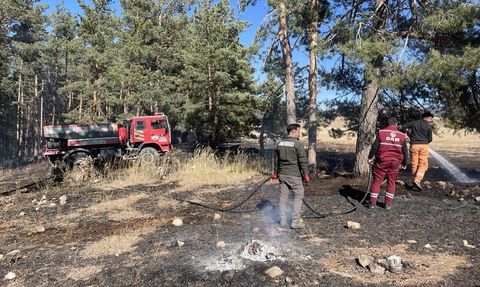 Sarıkamış'ta Orman Yangını: 1 Hektar Zarar Gördü