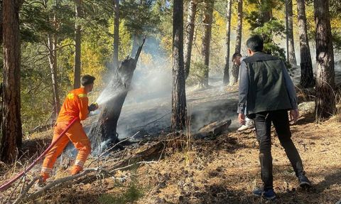 Sarıkamış'ta Orman Yangını Kontrol Altına Alındı