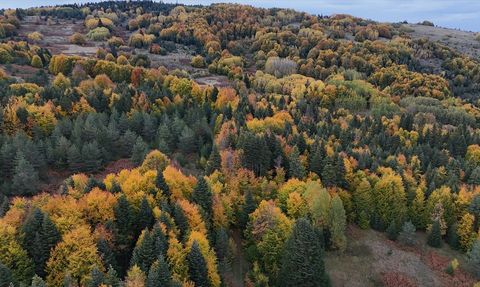 Sinop'ta Sonbaharın Göz Alıcı Renkleri