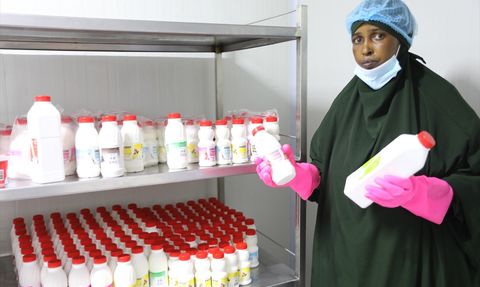 Somalili Kadınlar Birlikte Güçleniyor