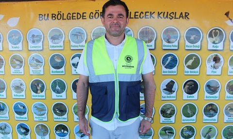 Sonbahar Göçüyle Kızılırmak Deltası Kuş Cenneti'nde Kuğular Artıyor