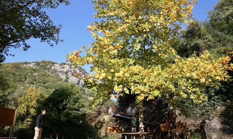 Sonbaharın Güzelliği Ballıkayalar Kanyonu'nda