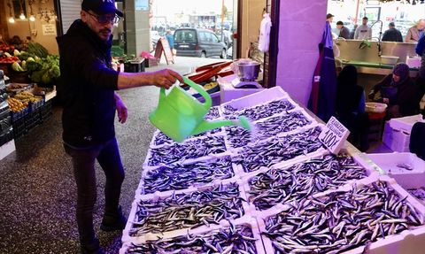 Trabzon'da Hamsi Fiyatları 100 Lira