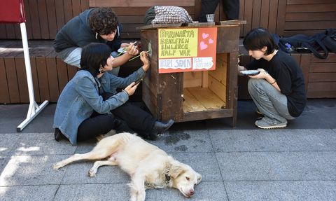 Trabzon'da Öğrencilerden Renkli Dünya Hayvanları Koruma Günü Etkinliği