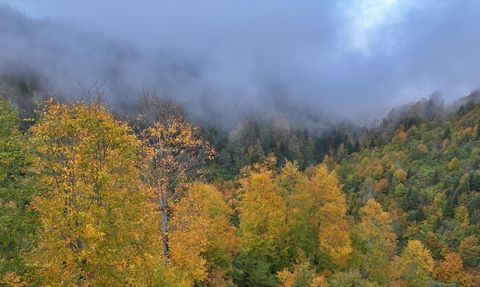 Trabzon'un Yüksek Kesimleri Sonbahar Güzellikleriyle Kaplandı