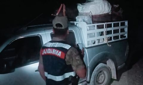 Tunceli'de Endemik Dağ Sarımsağı Toplayana 557 Bin Lira Ceza