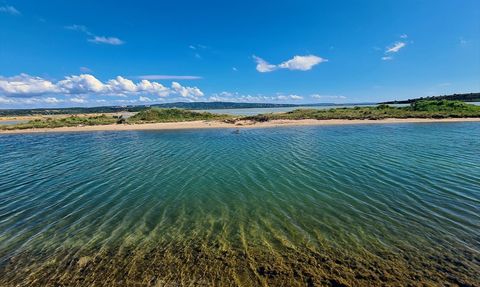 Türkiye'deki 5 Yeni Mahalli Sulak Alan