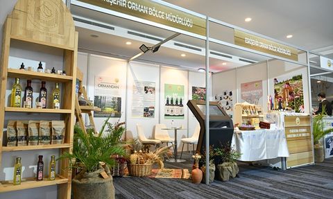 Türkiye'nin Flora Zenginliği Avrupa ile Yarışıyor