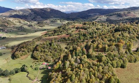Uluvahta Yaylası: Ordu'nun Doğa Harikası