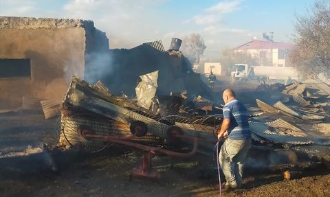 Yangında 23 Hayvan Telef Oldu