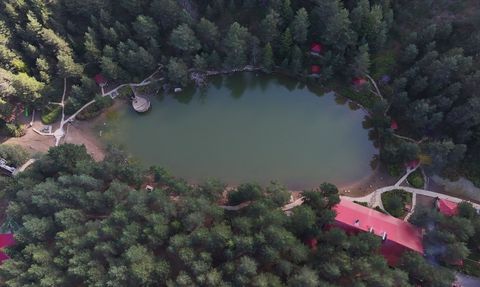 Zigana Dağı'nda Besicilik Sonbahar Mesaisi