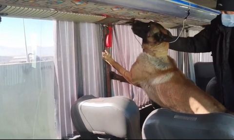 Ağrı'da Uyuşturucu Operasyonu: 8 Kilogram Skunk Ele Ge geçirildi