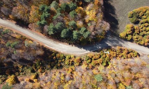 Bilecik Ormanlarında Sonbahar Renk Cümbüşü