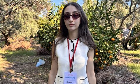 Hatay'da Üniversite Öğrencileri Mandalina Hasadına Katıldı