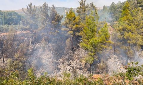 Mersin'de Bahçede Yangın: 1 Ölü