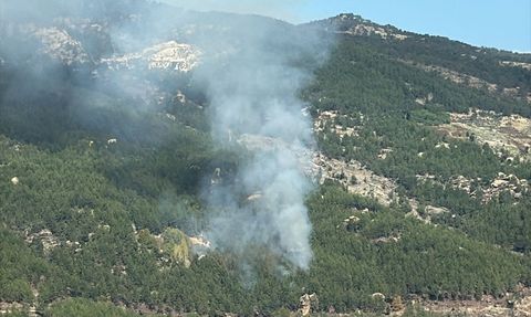 Muğla'da Orman Yangınına Müdahale Başlatıldı