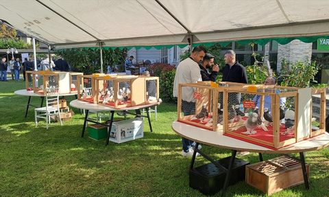 Sakarya'da 6. Tepeli Kostüm Güvercinleri Festivali Renkli Görüntülere Sahne Oldu