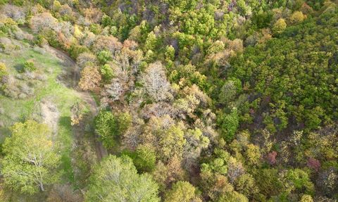 Tekirdağ'da Sonbahar Güzellikleri Doğa Severleri Bekliyor