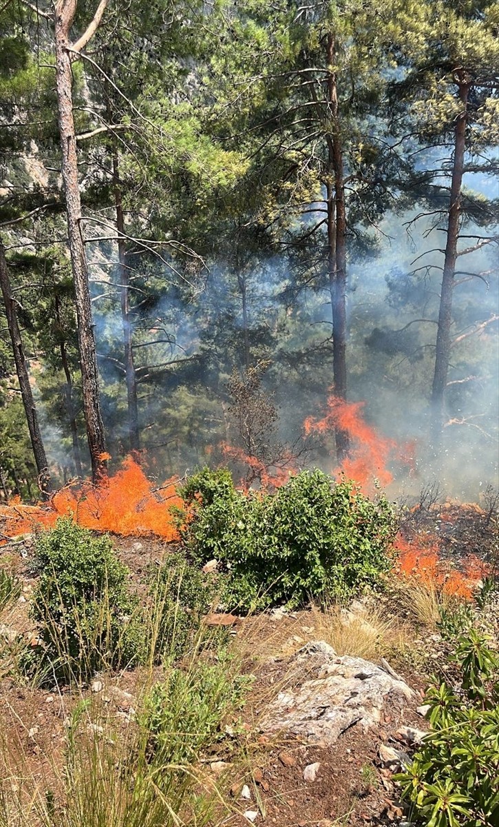 Adana'nın Feke ilçesinde ormanlık alanda çıkan yangına havadan ve karadan müdahale ediliyor.