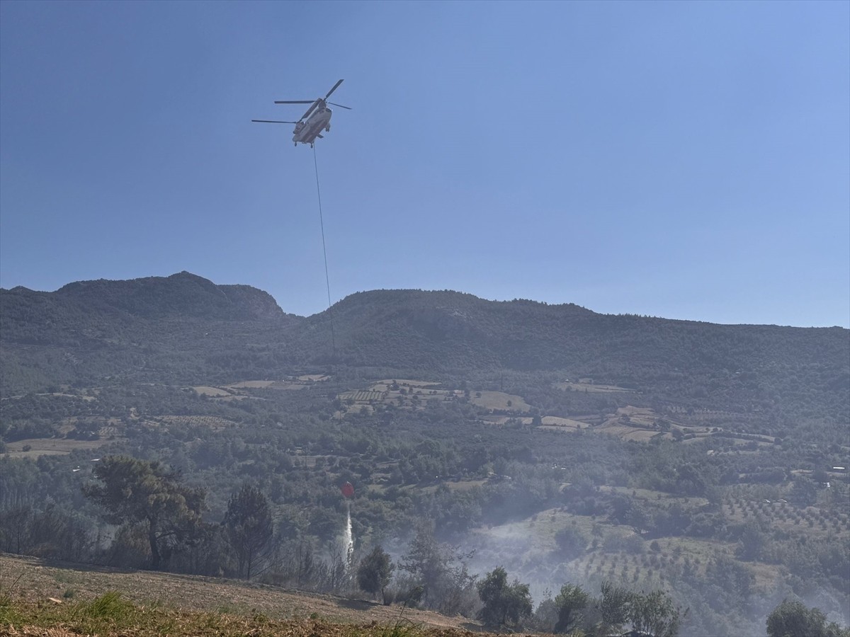 Adana'nın Kozan ilçesinde çıkan orman yangınına karadan ve havadan müdahale edildi.