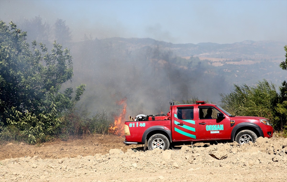 Adana'nın Kozan ilçesinde çıkan orman yangınına karadan ve havadan müdahale ediliyor.