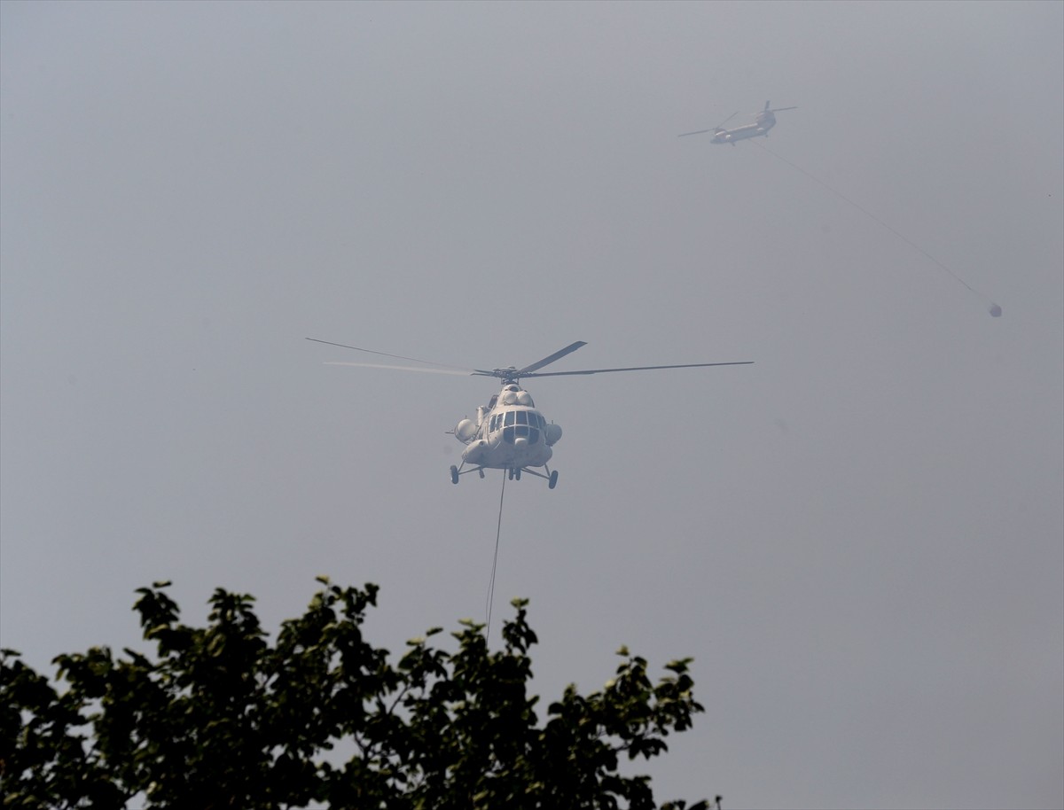 Adana'nın Kozan ilçesinde çıkan orman yangınına karadan ve havadan müdahale ediliyor.