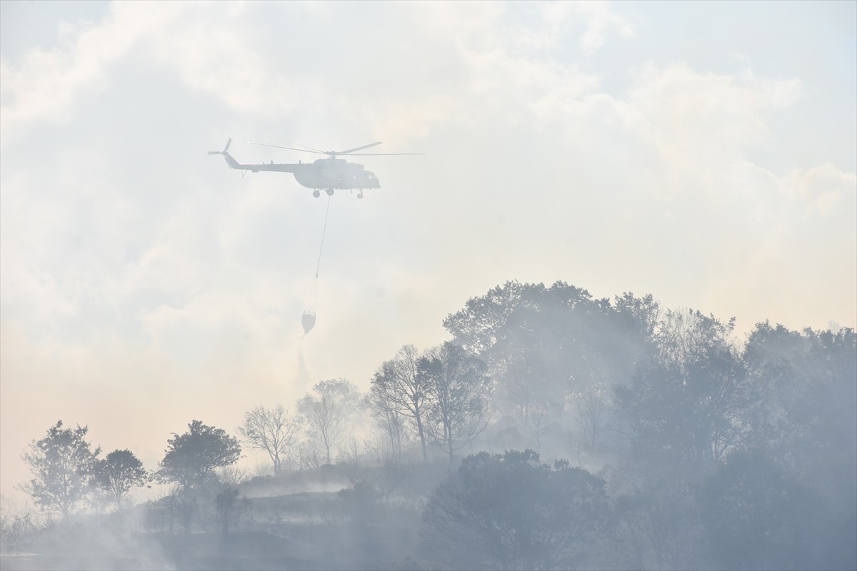 Afyonkarahisar'ın Şuhut ilçesinde Koçyatağı köyü Başarap mevkisindeki dağlık bölgede yer alan...