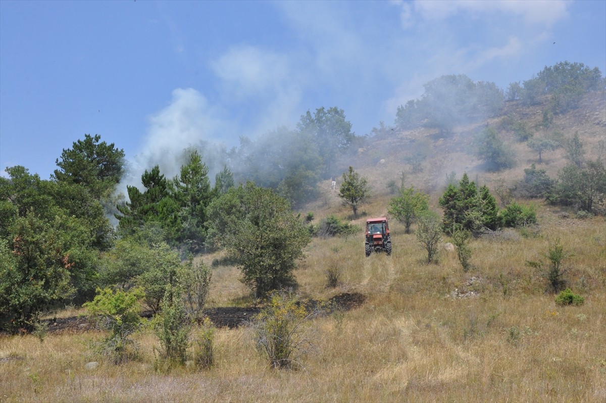 Amasya'nın Gümüşhacıköy ilçesinde, buğday ekili arazide çıkan yangın hasara yol açtı. 