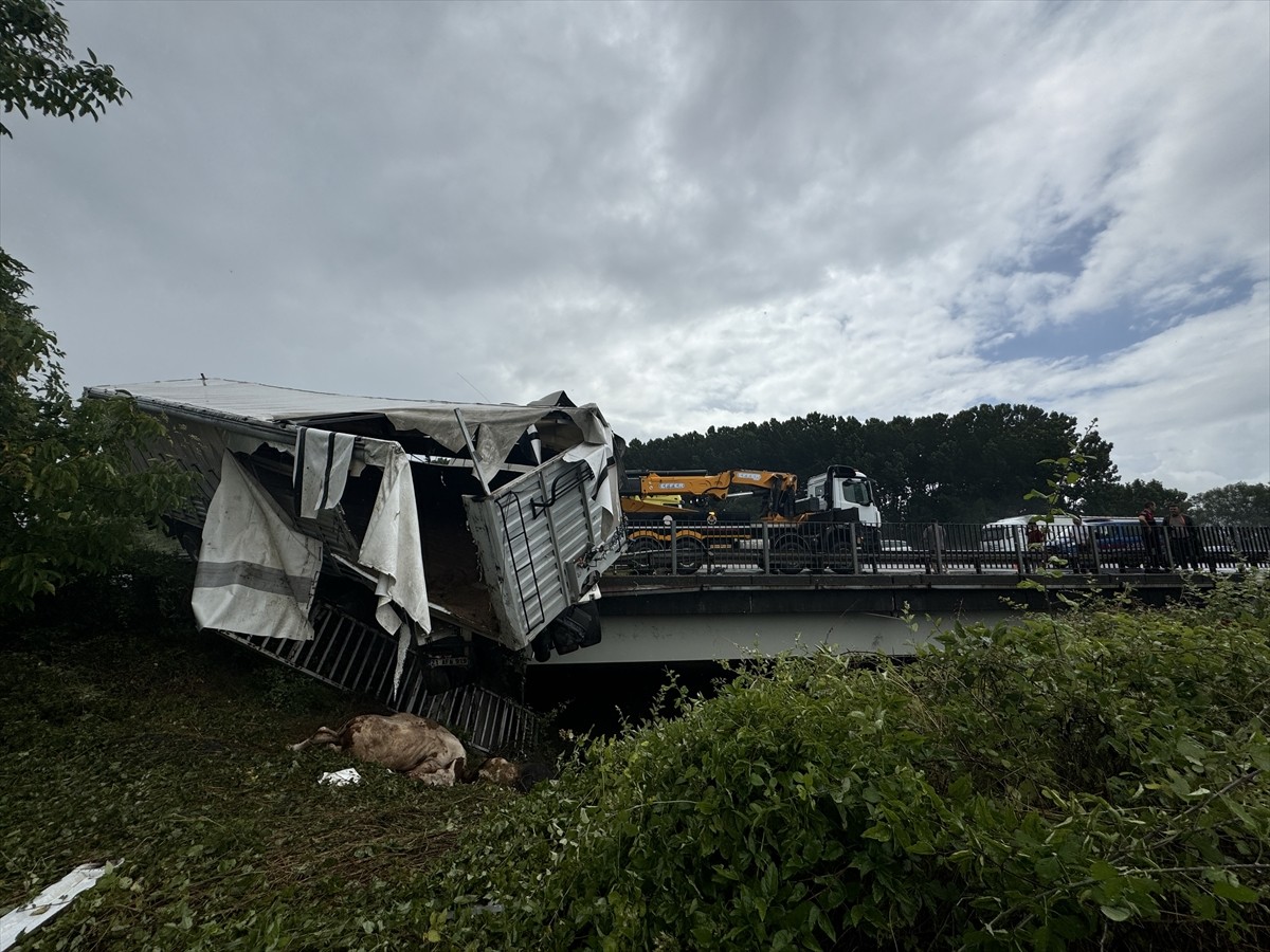 Anadolu Otoyolu'nun Sakarya geçişinde büyükbaş hayvan taşıyan tırın kaza yapması ulaşımda aksamaya...