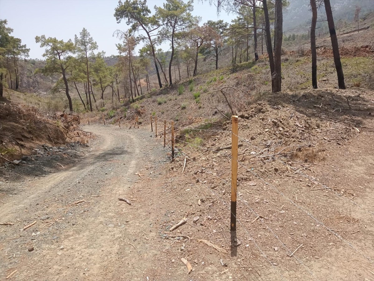 Antalya'nın Kemer ilçesindeki geçen yıl 5 günde kontrol altına alınabilen orman yangınının...