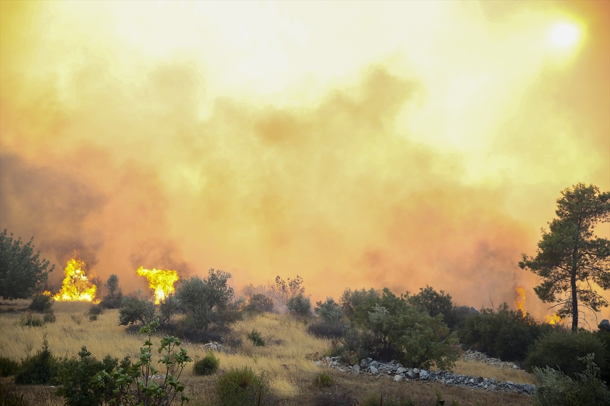 Antalya'nın Serik ilçesinde ormanlık alanda çıkan yangına havadan ve karadan müdahale...