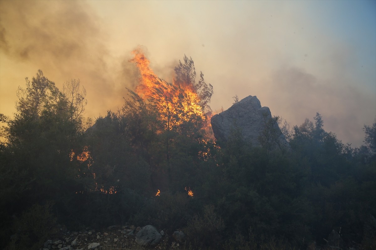 Antalya'nın Serik ilçesinde ormanlık alanda çıkan yangına havadan ve karadan müdahale...