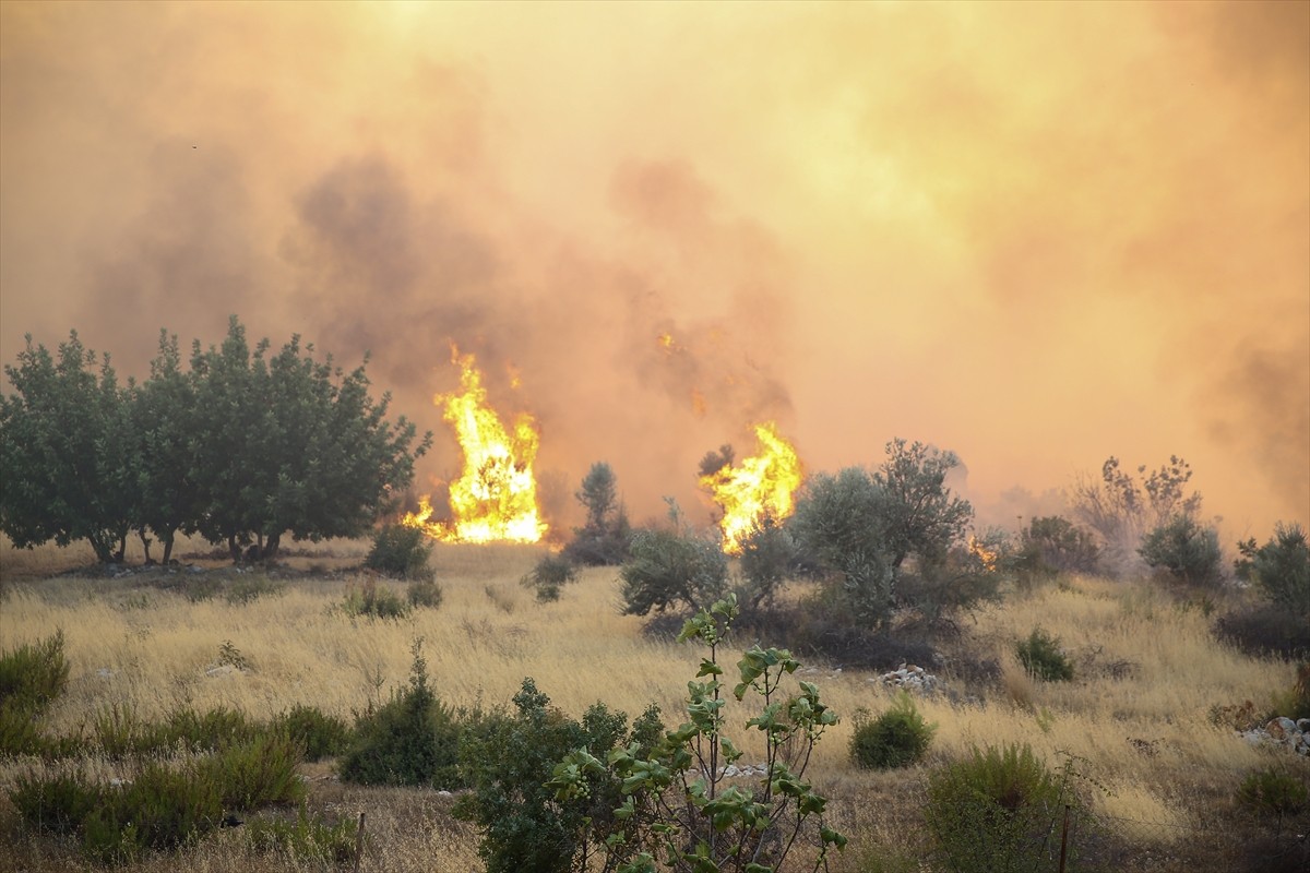 Antalya'nın Serik ilçesinde ormanlık alanda çıkan yangına havadan ve karadan müdahale...
